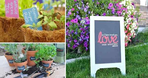 10 proyek cat papan tulis DIY sederhana untuk para tukang kebun