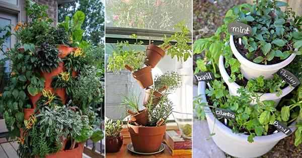 12 Pomysły na ziołowy zioło do zabawy przestrzeni, aby dużo rosnąć w mniejszej przestrzeni!