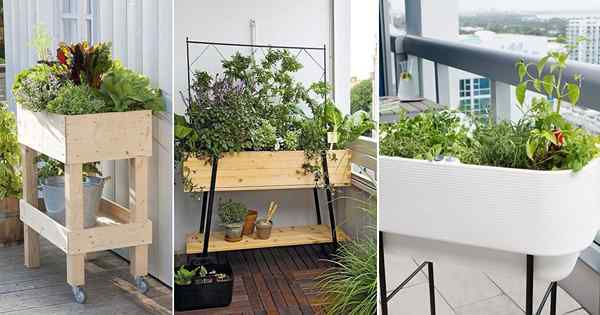 13 ideas de cama elevada para jardineros de balcón