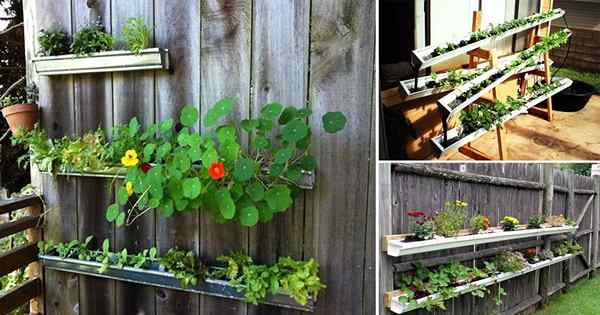 13 ideas de jardín de canalones de lluvia de bricolaje vertical para espacios pequeños