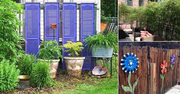 14 Günstige Möglichkeiten, die Sicht des Nachbarn in Garten und Hinterhöfen zu blockieren