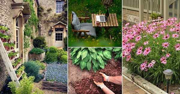 14 Resoluções importantes de jardinagem para o ano novo