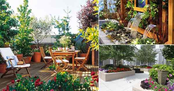15 idées et conseils de conception de jardin sur le toit | Conception de jardin en terrasse
