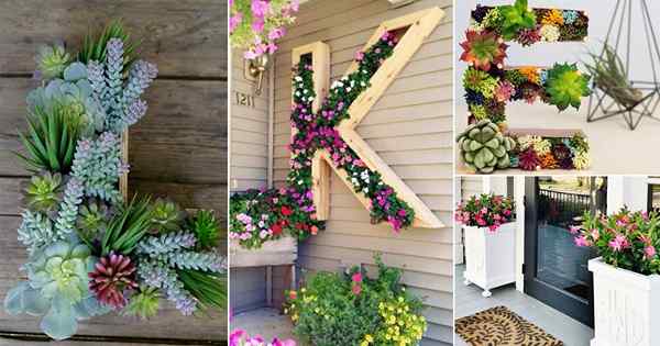 16 Superbes idées de jardinières de lettres de bricolage | Jardinières monogrammes cool