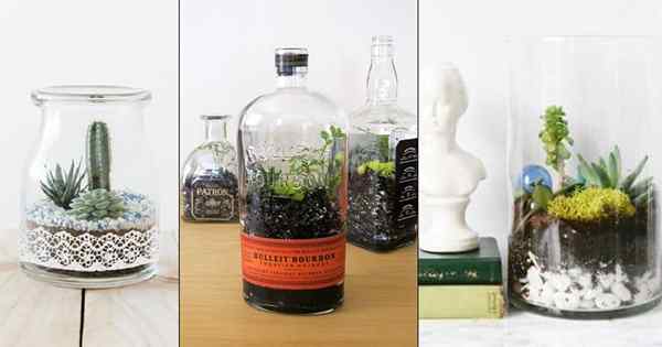 16 idées de terrarium vintage que vous devez essayer!