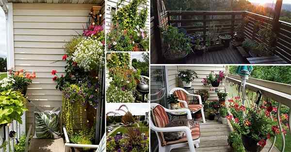 17 images de jardin de balcon pour l'inspiration de nos lecteurs