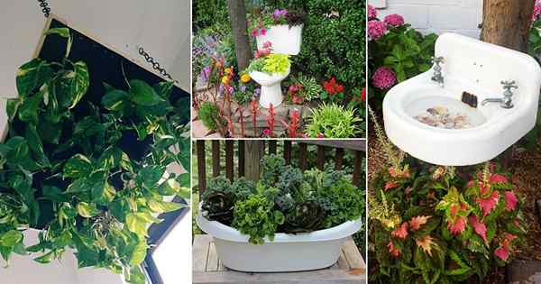 18 Bizarre DIY Badezimmerartikel Ideen im Garten