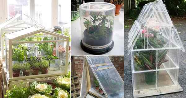 19 mini-bricolage faciles idées de serre | Greenhouses créatives maison