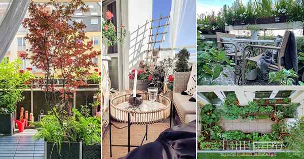 19 Inspirujące zdjęcia ogrodu balkonowe z czerwca 2021 r. Z Instagrama