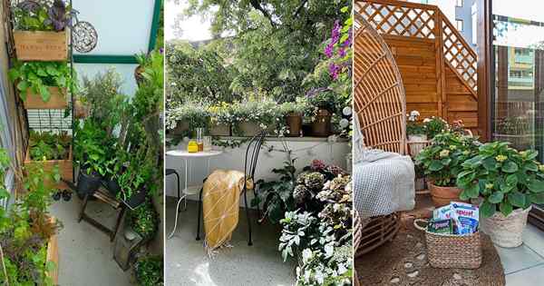 20 mejores jardines de balcón de mayo de 2021 en Instagram