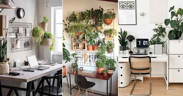 20 fascinantes idéias de mesa de escritório em casa verde com plantas