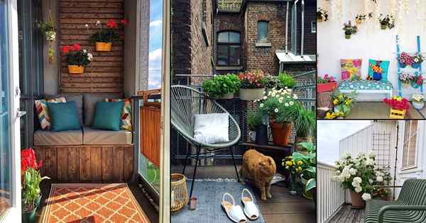 20 taman balkoni paling mengagumkan pada bulan Februari 2022 dari Instagram!