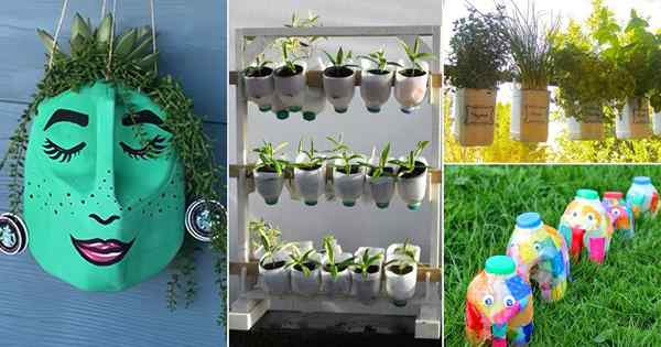 20 Praktische DIY -Milchkrüge im Garten verwendet