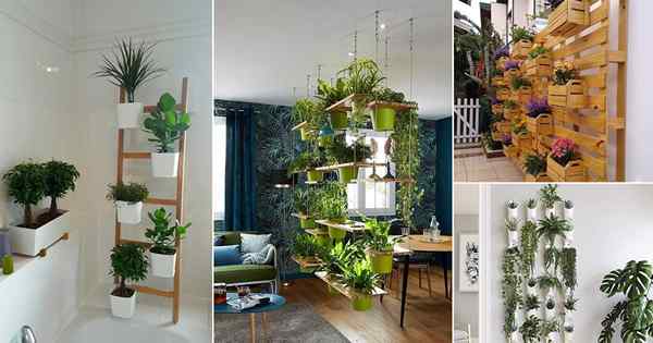 20 ideas de decoración del hogar del jardín vertical