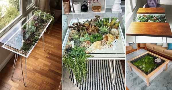 21 Idéias incríveis de mesa de terrário | Mesas de plantas DIY