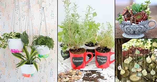 21 ideas de tazas de café de bricolaje para el jardín