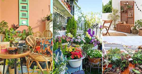 21 jardines de balcón más hermosos de marzo de 2022 desde Instagram!