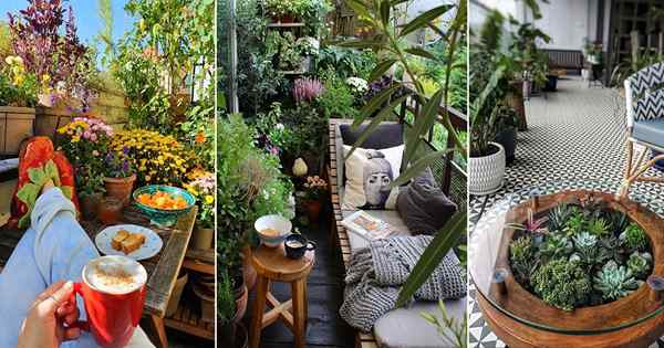 22 meilleures photos de jardin de balcon de septembre 2021 sur Instagram