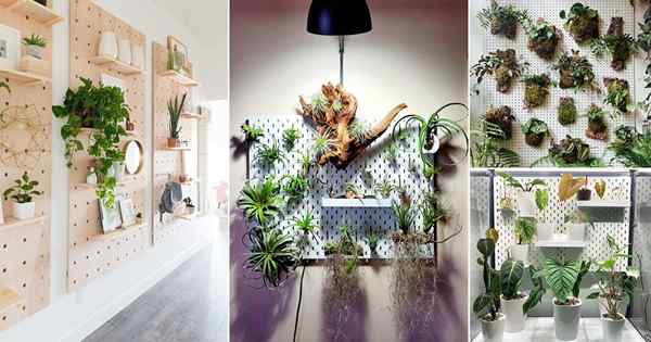 22 façons intelligentes d'utiliser des panneaux de panneaux pour les plantes