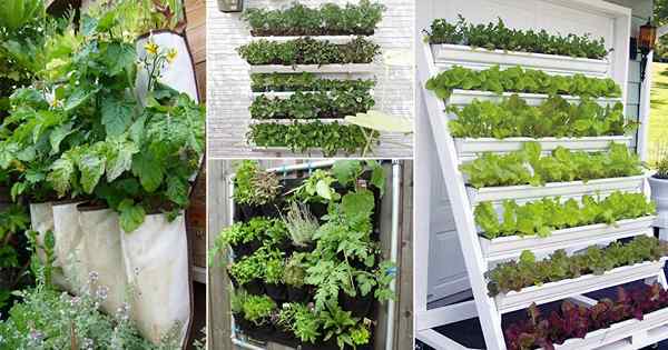 22 Idées de jardin végétal vertical bricolage pour cultiver plus de nourriture