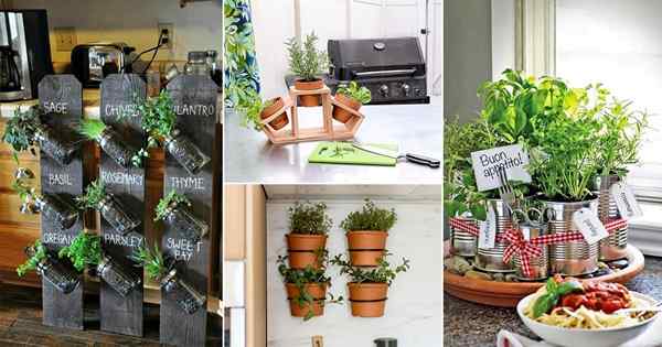 22 ideas de jardín de hierbas de encimera de cocina para la vida de apartamentos