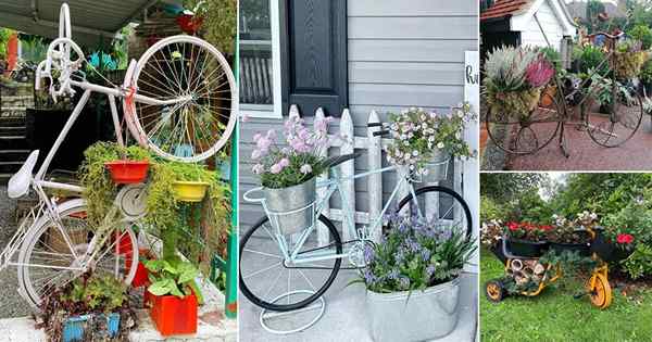 22 idea penanam basikal yang unik untuk taman anda atau di mana sahaja