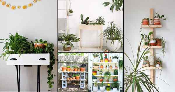22 Idéias de prateleiras de plantas DIY fantásticas