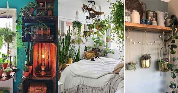 23 ridículos Jungle Indoor Jungle #Instagram Publicações para amantes de plantas domésticas
