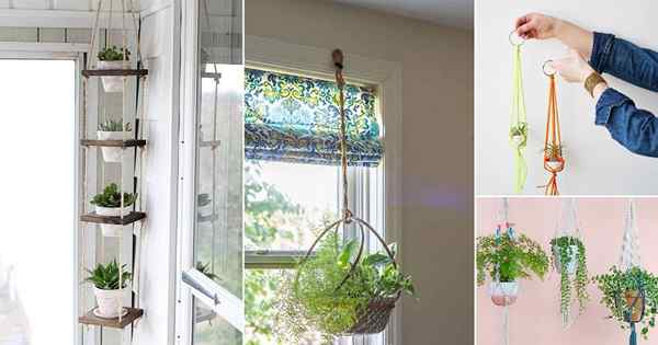 24 idéias de cabide de corda DIY | Pendurar plantas internas com cordas