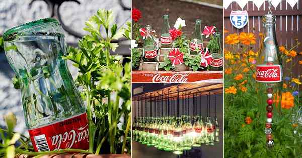 Les bouteilles de Coca Cola et Pepsi de 24 fois se sont transformées en trésors dans le jardin