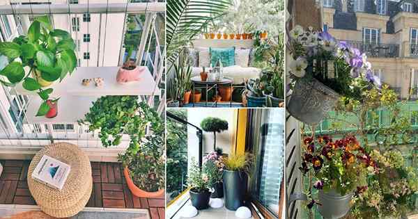24 gambar pamungkas taman balkon pada bulan Maret 2021 dari Instagram