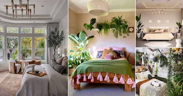 25 mejores ideas de decoración de dormitorio con plantas para robar desde Instagram