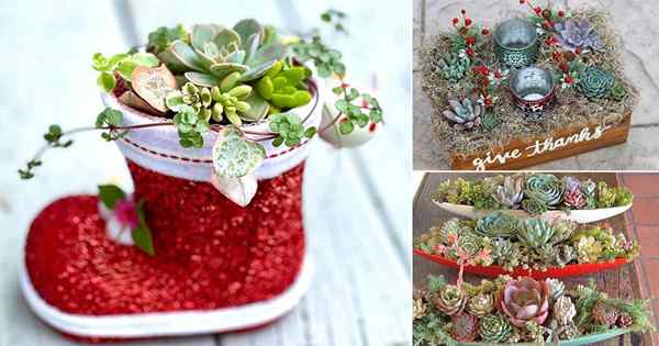 25 conceptions de décoration de table de Noël succulentes accrocheurs