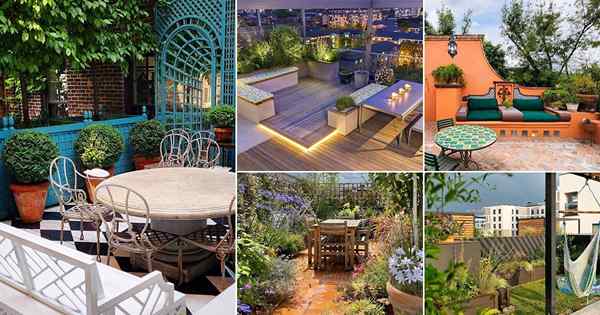 25 photos de jardin sur le toit inspirant d'Instagram