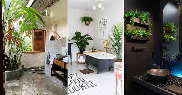 25 ideas de diseño de baño tropical lujoso con plantas