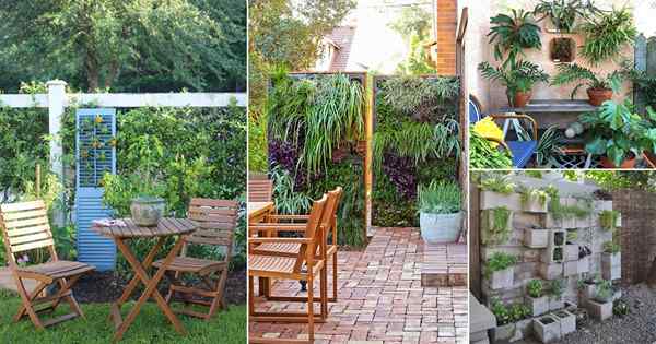 25 Ideas de decoración de pared de patio impresionantes con plantas