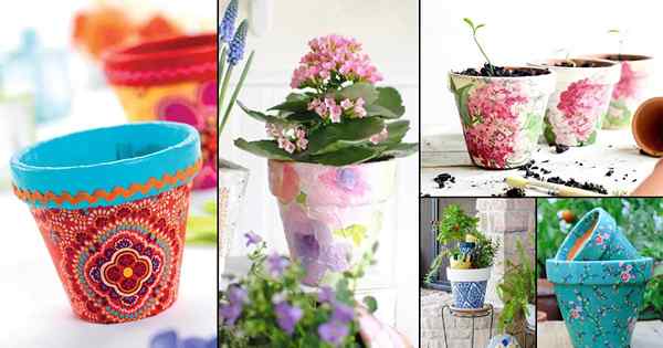 26 Pots de fleurs de découpage de bricolage pour jardin | Meilleurs pots en terre cuite