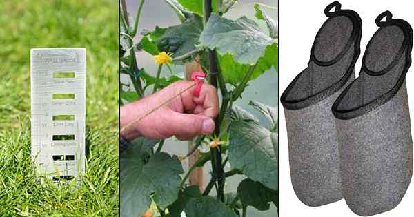26 Herramientas y gadgets de jardinería que pueden cambiar la forma en que jardinera