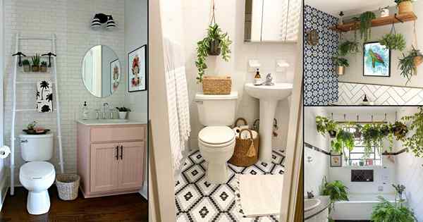 26 Idéias de decoração de plantas para o banheiro de aluguel genial