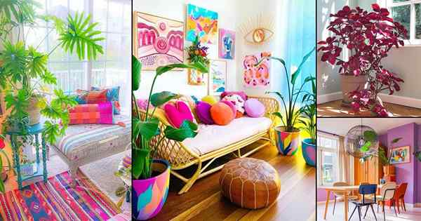 26 Ide Ruang Dalam ruangan yang sangat berwarna -warni dengan tanaman