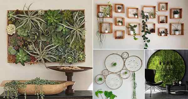 28 künstlerische Pflanzenwandkunst Ideen für das Wohnkörper zu Hause