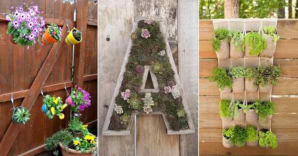 28 Pomysły na sadzarki ogrodzenia DIY | Łatwo do zrobienia plantatorów ogrodzenia