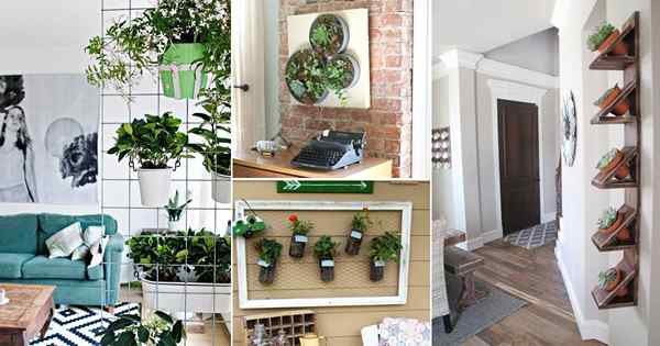 28 Easy Indoor vertikale Pflanzerprojekte, selbst ein Anfänger kann abgeschlossen sein