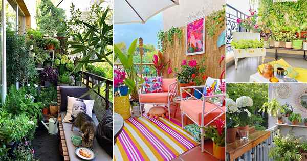 30 Pomysły na ogród balkonowe z Instagrama dla inspiracji (lipiec 2021)