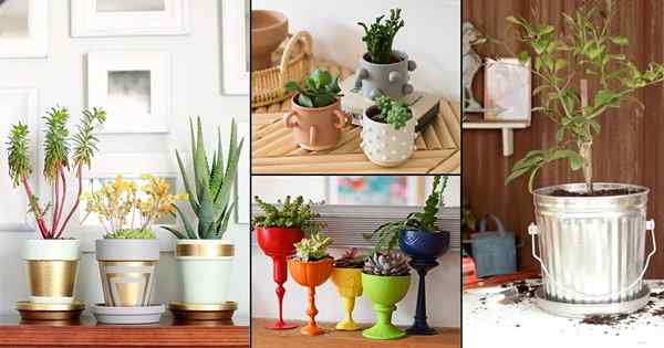 32 Ide dan Makeover Pot Houseplant DIY