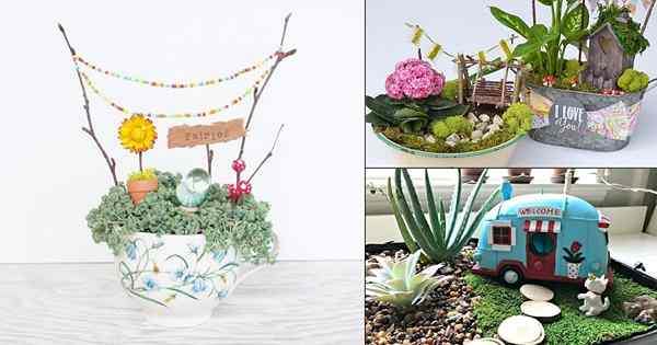 32 Fun DIY Indoor -Gartenprojekte