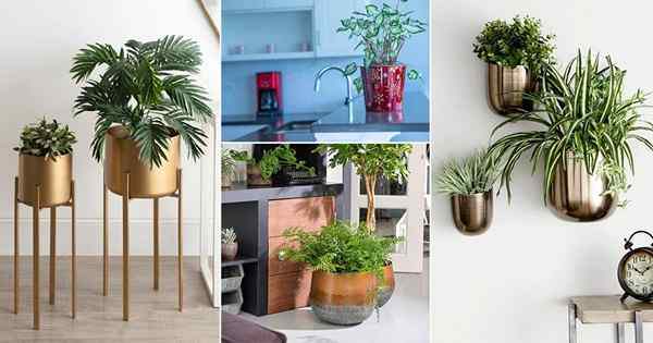 32 Impresionantes imágenes de plantas de interior en macetas metálicas