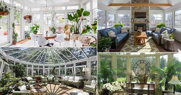 35 Ideas impresionantes de terraza acristalada con plantas