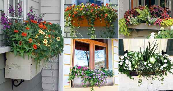 45 mejores ideas de cajas de ventana para aumentar el atractivo de su hogar!