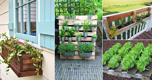 48 melhores projetos de paletes de bricolage para jardineiros